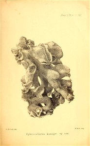 n206_w1150