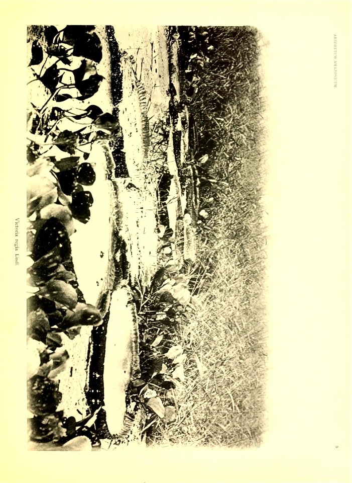 n32_w1150