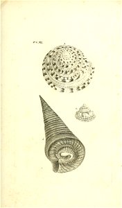 n88_w1150