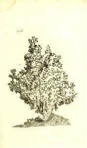 n118_w1150