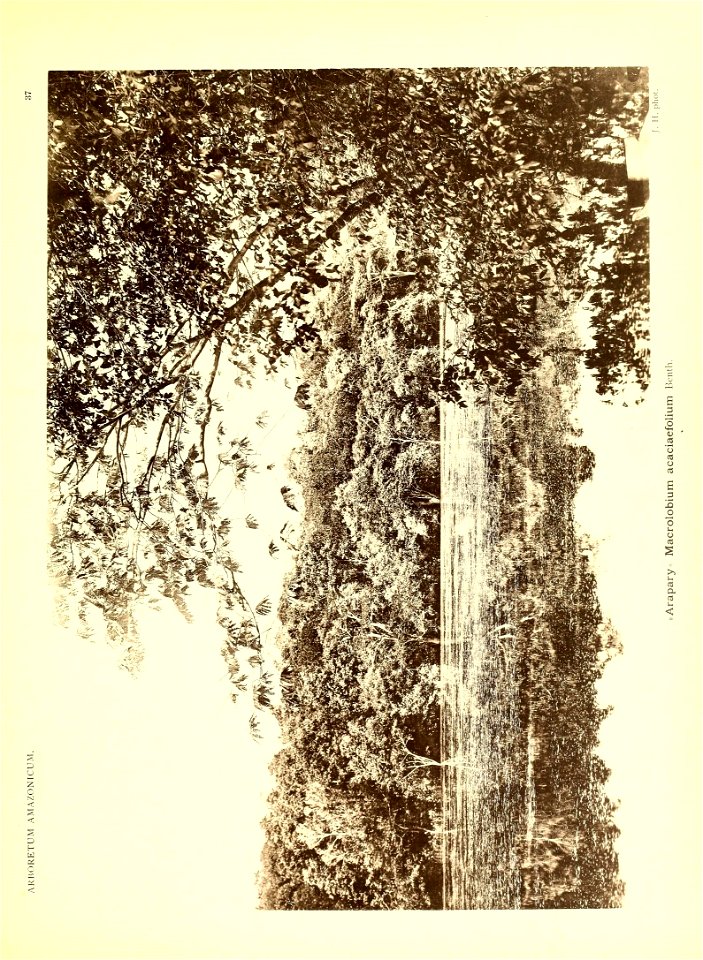 n28_w1150
