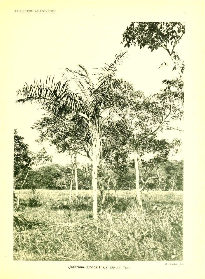 n16_w1150
