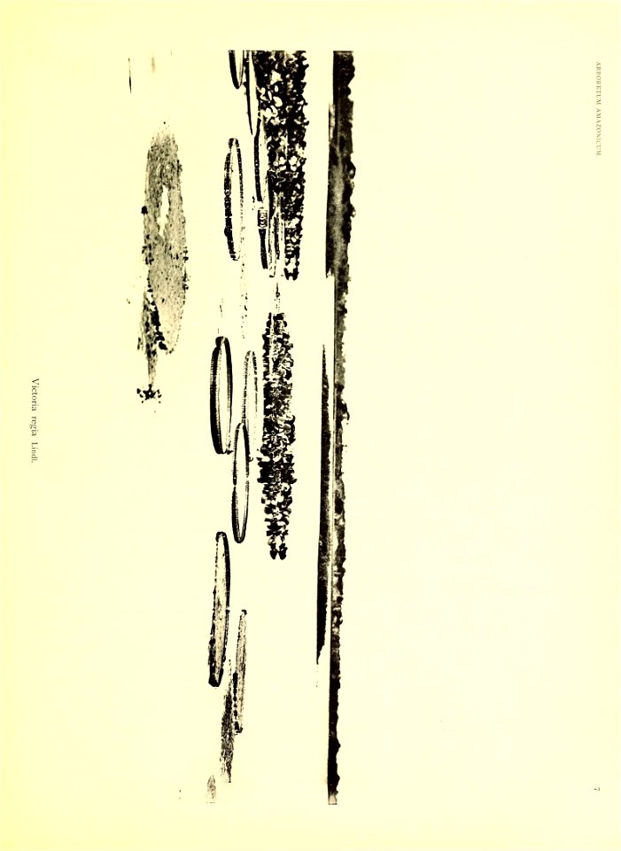 n28_w1150