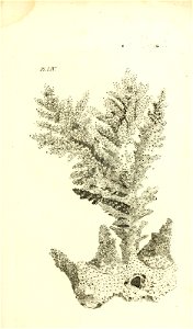 n116_w1150