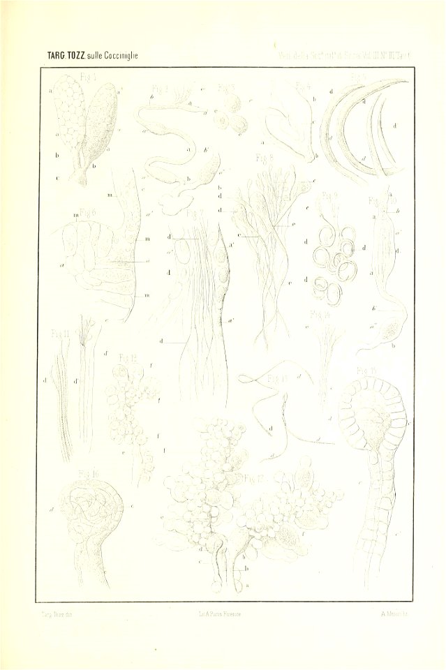 n150_w1150