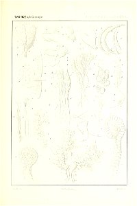 n150_w1150