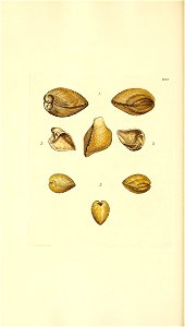 n121_w1150