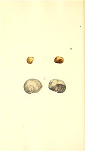 n67_w1150