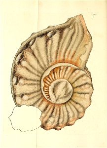 n315_w1150