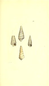 n126_w1150