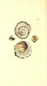 n447_w1150
