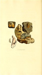 n55_w1150