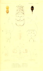n352_w1150