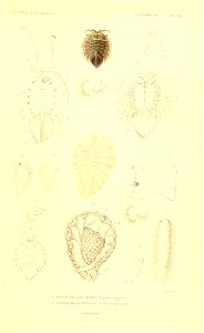 n288_w1150