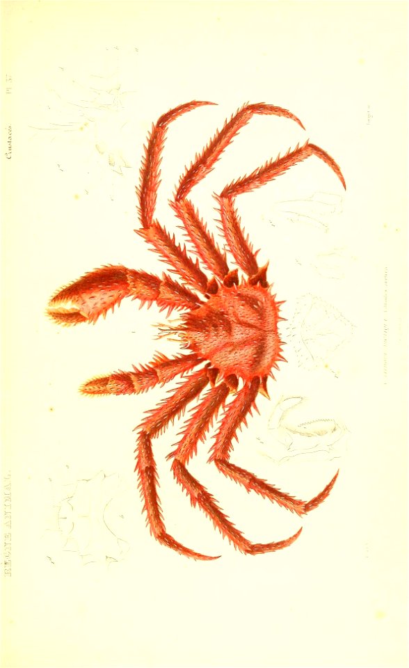 n168_w1150