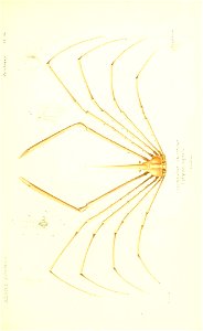 n164_w1150