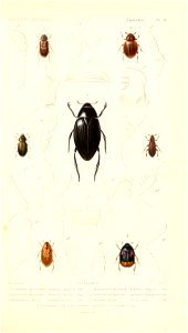 n168_w1150