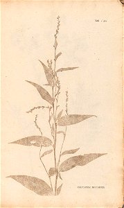 n402_w1150