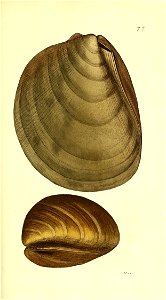 n358_w1150