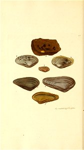 n159_w1150