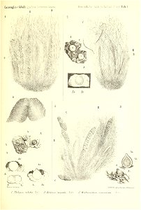 n44_w1150