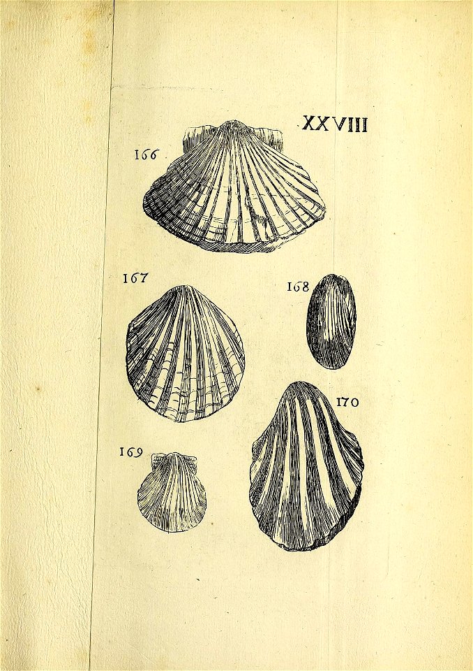 n382_w1150