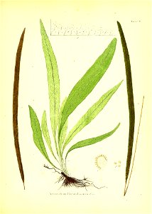 n44_w1150