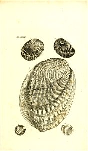 n96_w1150