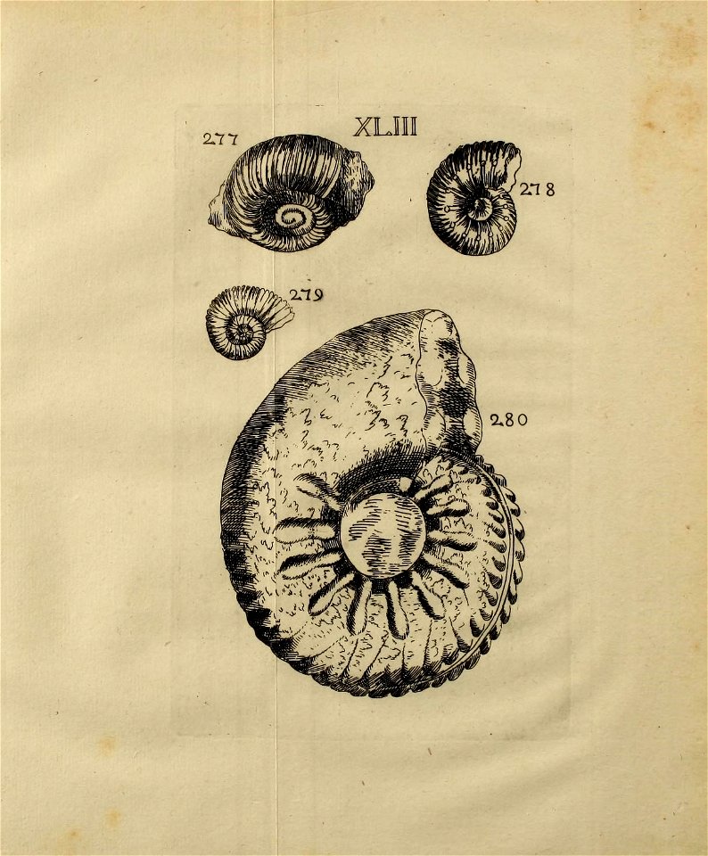 n442_w1150