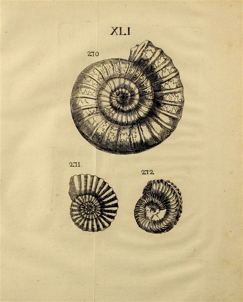 n434_w1150