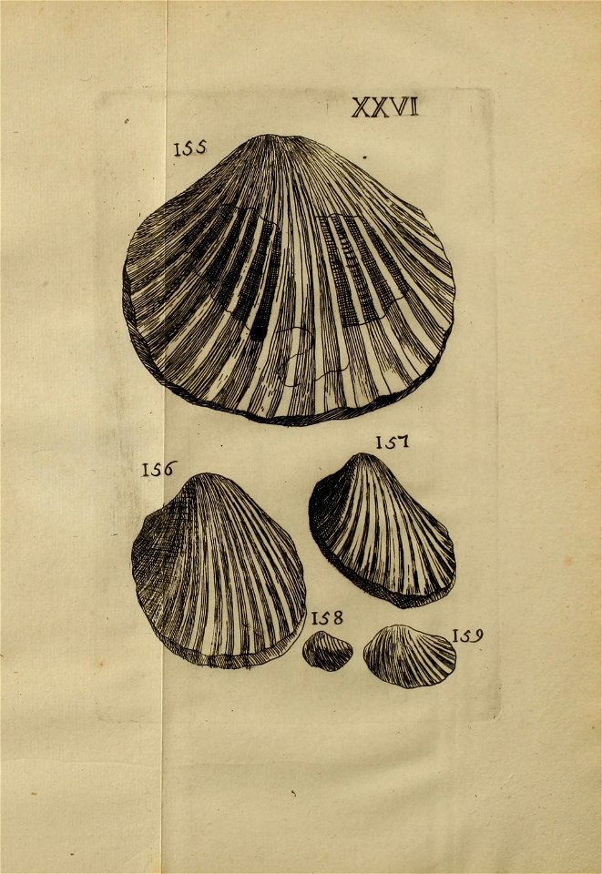 n376_w1150