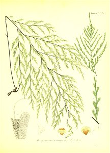 n156_w1150