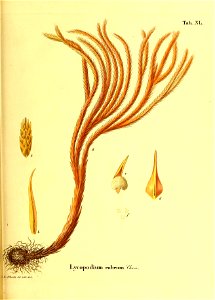 n184_w1150