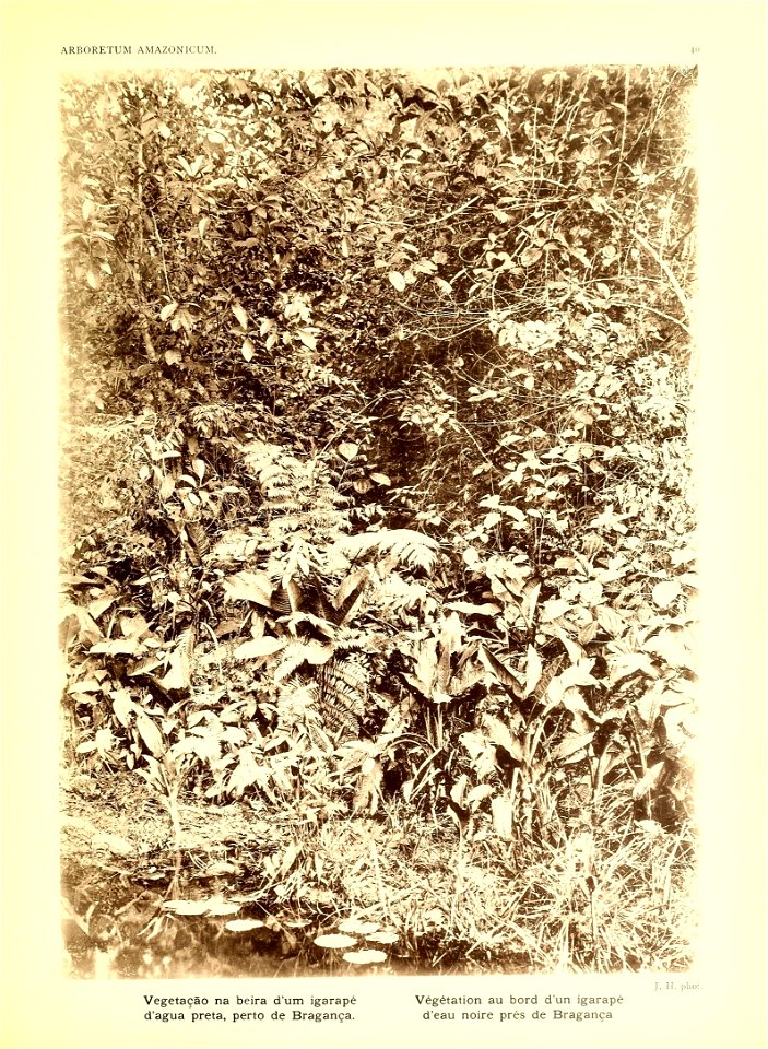 n40_w1150
