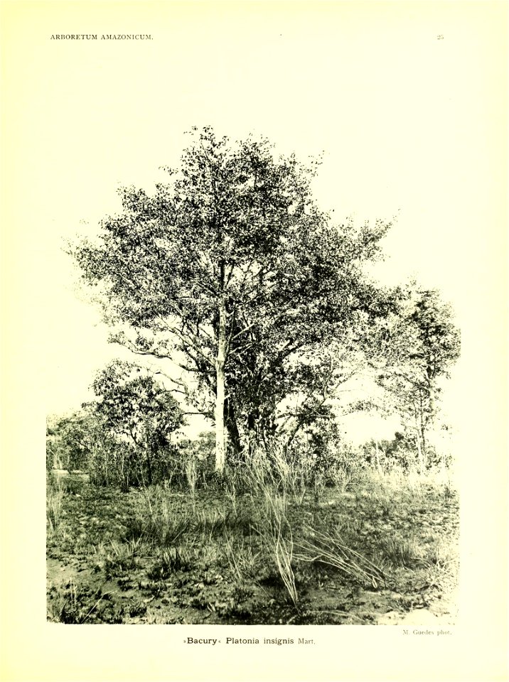 n28_w1150
