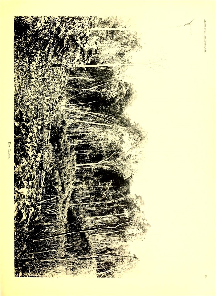 n40_w1150