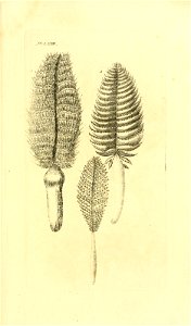 n152_w1150