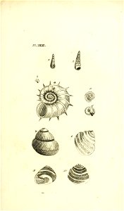 n92_w1150