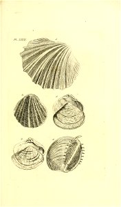 n62_w1150