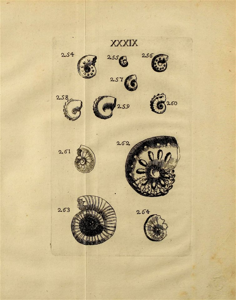 n426_w1150