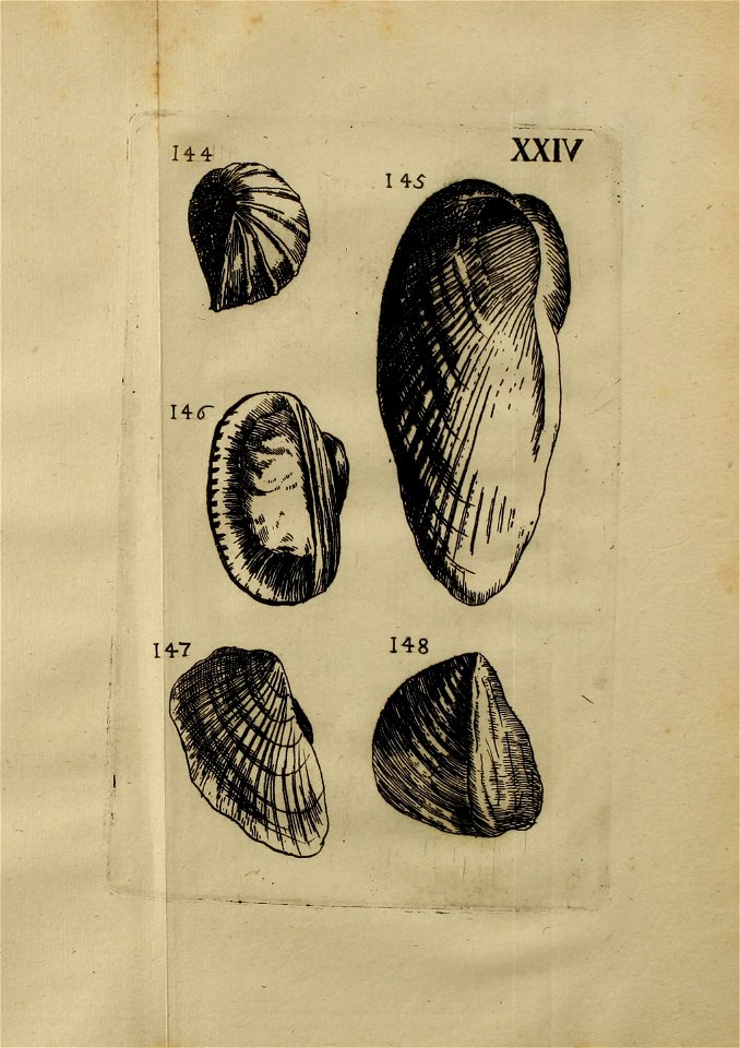 n368_w1150