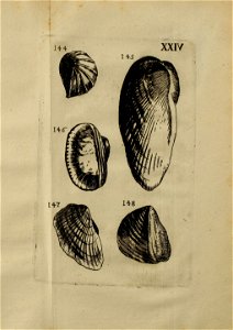 n368_w1150
