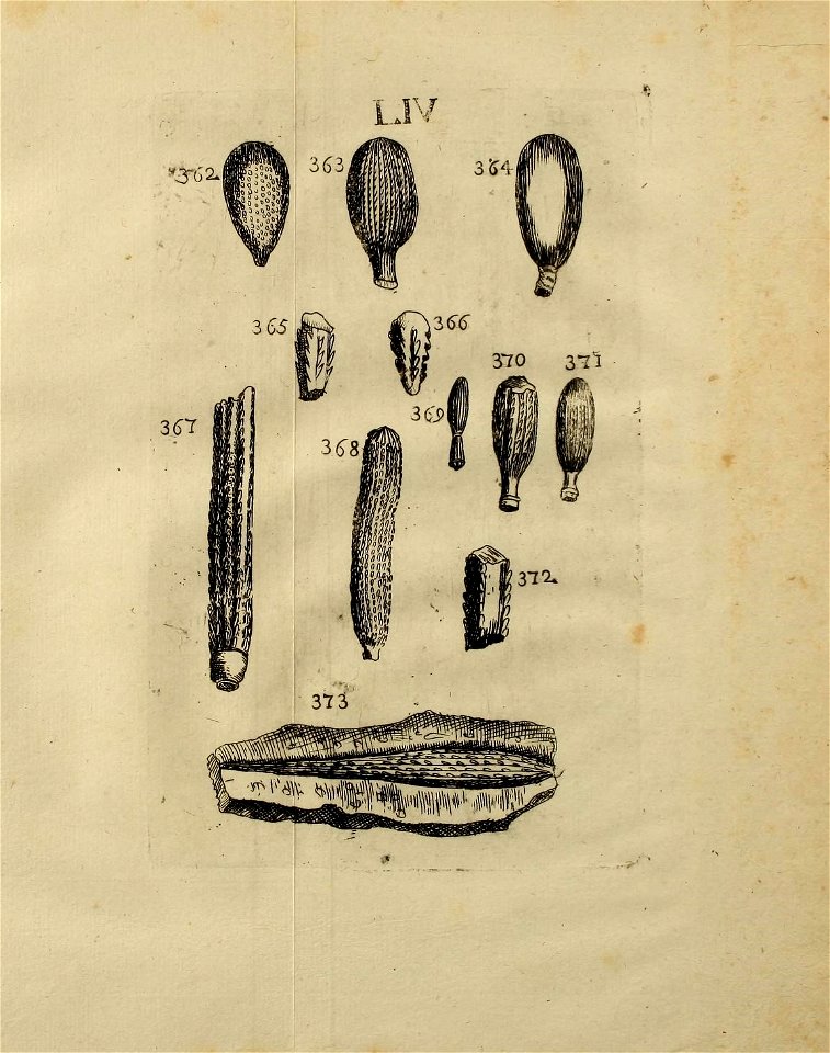 n486_w1150