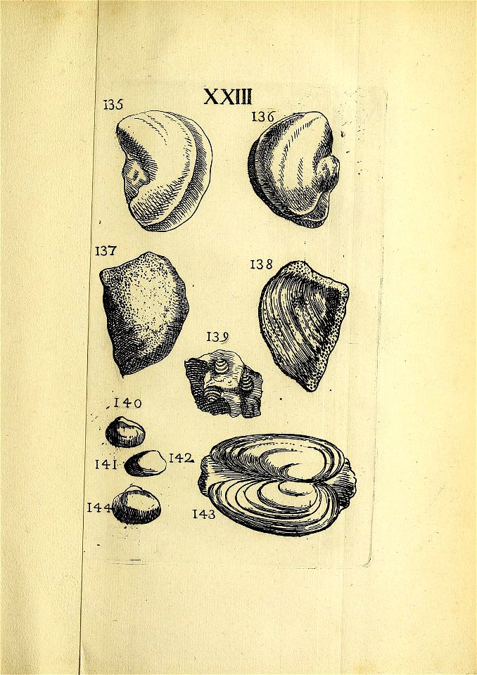 n364_w1150