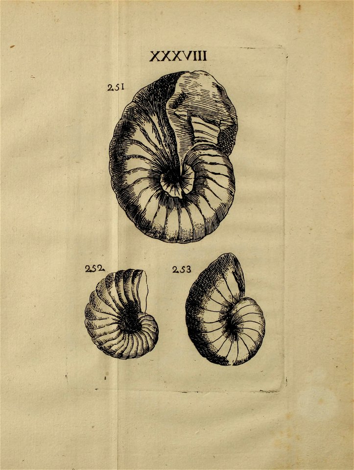 n422_w1150