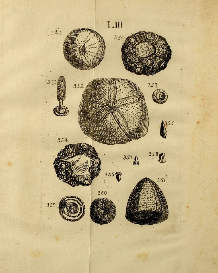 n482_w1150