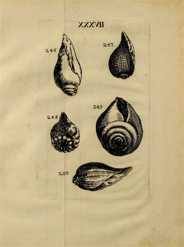 n418_w1150