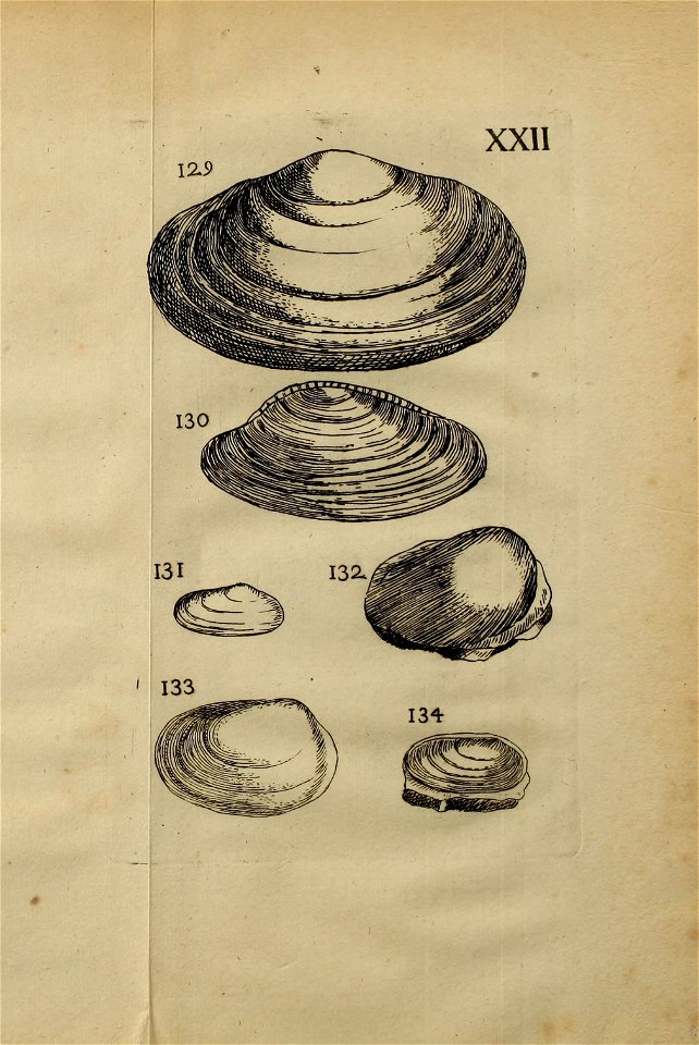 n362_w1150