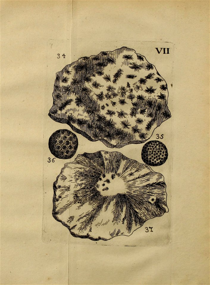 n304_w1150