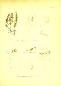 n484_w1150